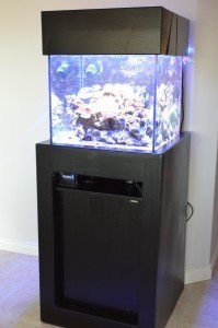 black 50 cube stand and hood