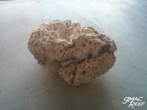 Reef Rock Cemented